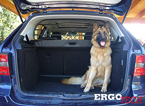 ERGOTECH Trennnetz Trenngitter Hundegitter für Mercedes B-Klasse BJ 2004-2011 von ERGOTECH