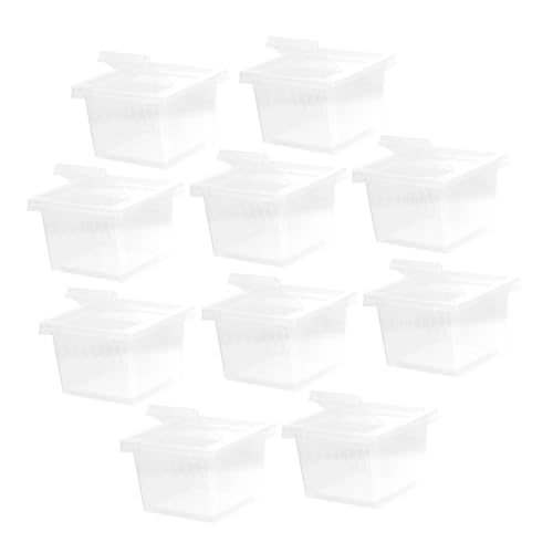 ERINGOGO 10Stücke Kleine Reptilien Fütterungsbox Teilig Transparentes Terrarium Für Zucht Und Beobachtung Langlebig Reinigen Für Eidechsen Schnecken Spinnen ERINGOGO 10Stücke Kleine Reptilien Fütterungsbox Teilig Transparentes Terrarium Für Zucht Und Beobachtung Langlebig Reinigen Für Eidechsen Schnecken Spinnen von ERINGOGO