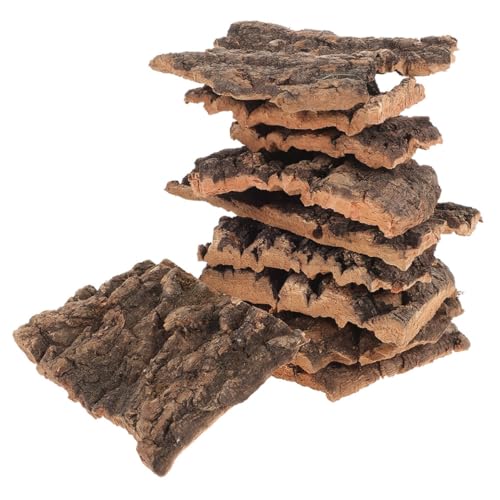 ERINGOGO 20 Stück Dekoration aus Champagnerrinde Reptilien groß Gecko Bettwäsche bellen für Buche Reptil Baumrinde Terrariumdekorationen dekorative Terrarienrinde Holz ERINGOGO 20 Stück Dekoration aus Champagnerrinde Reptilien groß Gecko Bettwäsche bellen für Buche Reptil Baumrinde Terrariumdekorationen dekorative Terrarienrinde Holz von ERINGOGO