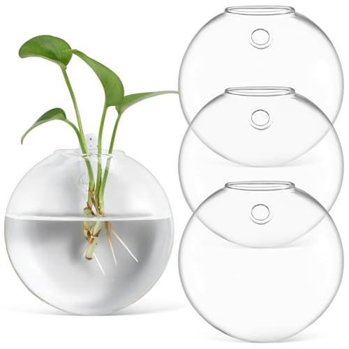 ERINGOGO 4Pcs Glaswand Hängende Terrarien Blumenvase Für Hydrokulturpflanzen Wandpflanzer Für Innenpflanzen Wandvasen Für Wohnzimmer -Dekoration Für Heimbüro von ERINGOGO