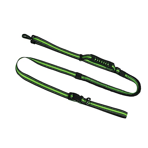 ERINGOGO Nylon Hundeleine Mit Reflektierendem Design Einstellbarer Laufgurt Für Sicheres Freihändiges Gassigehen Geeignet Für Kleine Große Hunde Für Jogging Und ERINGOGO Nylon Hundeleine Mit Reflektierendem Design Einstellbarer Laufgurt Für Sicheres Freihändiges Gassigehen Geeignet Für Kleine Große Hunde Für Jogging Und von ERINGOGO