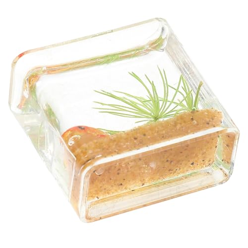 ERINGOGO Herzstück Tischdekoration Hausdekoration Dekoration für Miniaturhäuser Teich Luft Deckel Tank kleines Aquarium Auto Pumpe Mini-Aquarium Miniatur-Aquarium- winzige Dinge von ERINGOGO