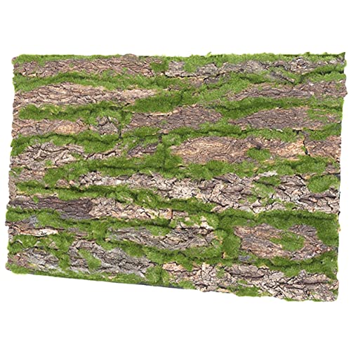 ERINGOGO Reptilien Kletterrinde Für Terrarien Dekorative Rinde Aus Natürlichem Baumrindenmaterial Langlebig Und Schmutzabweisend Für Reptilienzubehör Und Terrarium Dekoration ERINGOGO Reptilien Kletterrinde Für Terrarien Dekorative Rinde Aus Natürlichem Baumrindenmaterial Langlebig Und Schmutzabweisend Für Reptilienzubehör Und Terrarium Dekoration von ERINGOGO