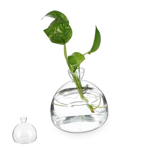 ERINGOGO Transparente Pflanzenvase Aus Glas Für Blumenarrangements Terrarien Blumenhalter Klarglas Pflanztopf Für Tischdekoration Und Wohnzimmer von ERINGOGO