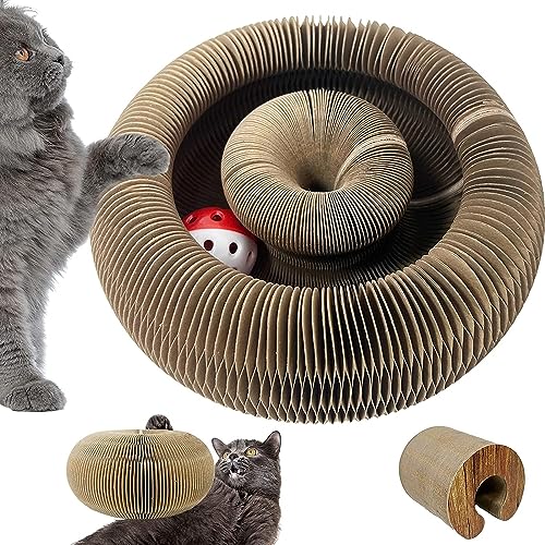 kratzbretter Katze kratzpappe für Katzen, Faltbarer Kratzmatte für Katzen mit Glöckchen, interaktives Kratzbrett, Stark langlebig und recycelbar (1 Piece) von ERKIES