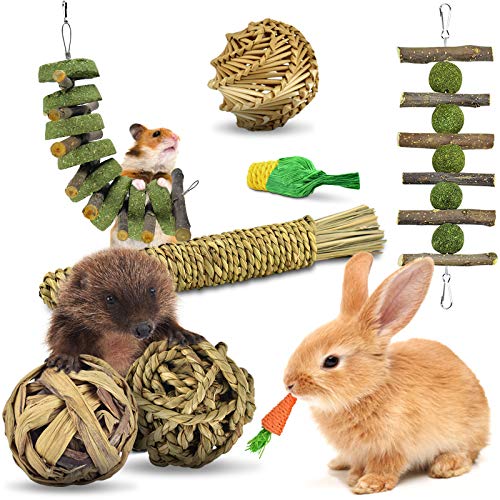 ERKOON Kaninchen Spielzeug Beschäftigung,Rabbit Spielzeug Für Draußen Kleintiere Kauspielzeug Hasen Natürliche kaubälle Zahnpflege für Häschen Chinchilla Hamster Meerschweinchen Rennmäuse von ERKOON