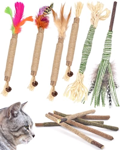 ERKOON Catnip Sticks, 12 pcs Katzenminze Sticks, Matatabi Stick Katze Kausticks Interaktives Catnipspielzeug, Cat Kauhölzer Silvervine Sticks zur Katzen Zahnpflege und Gegen Mundgeruch von ERKOON