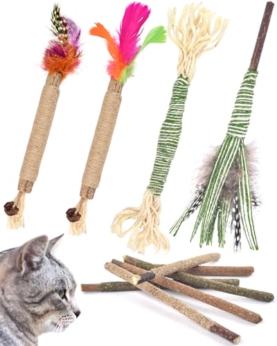 Katzenminze Sticks,ERKOON 10 Stück Silvervine Stick Matatabi Stick Katze Kausticks für Katzen Katzen Zahnpflege Spielzeug, Dental Kau-Sticks helfen bei Zahnstein & Mundgeruch Gesund Hygiene Zahnpflege von ERKOON