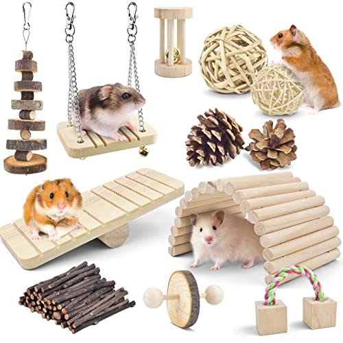 ERKOON Hamster Kauspielzeug, Kaninchen Kauspielzeug, natürliche Holzhanteln, Hamster Physiotherapie Spielzeug, Chinchilla-Meerschweinchen-Spielzeugzubehör (D) von ERKOON