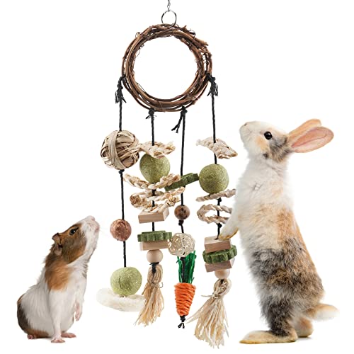 ERKOON Kaninchen Spielzeug, Rabbit Toy Kaninchenspielzeug Beschäftigung,Hasen zubehör Käfig Hängende Kauspielzeug, Hamster, Meerschweinchen von ERKOON