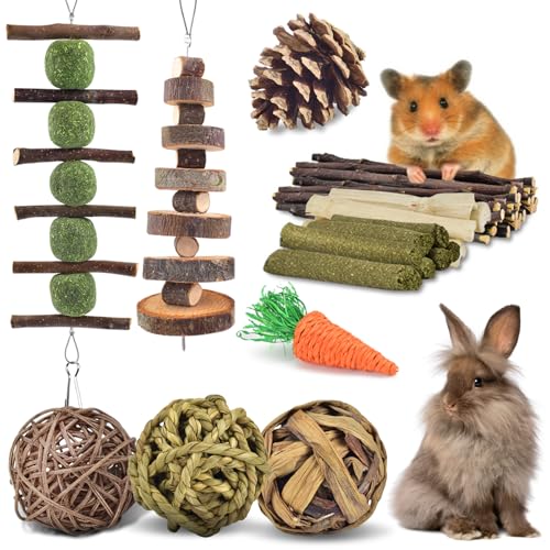 ERKOON Kauspielzeug für Kaninchen, Meerschweinchen, Hamster, Chinchilla, Eichhörnchen, Rennmaus, Ratte - 10 Arten, Bio-Apfelstäbchen, Bio-Timothy-Heu, Zahnhygiene, Langeweile-Buster, Indoor von ERKOON