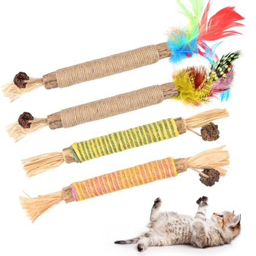 ERKOON Katzenminze Spielzeug, Catnip Sticks Matatabi Stick for Katze Cats Dental Care Spielzeug, Chew Stick Help with Tartar & Bad Breath Healthy Hygiene von ERKOON