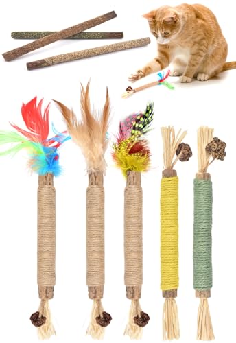 ERKOON Katzenstick, Katzenminze Spielzeug, Chew Toy for Cats, Cats Dental Care Spielzeug, Dental Chew Stick Help with Tartar & Bad Breath Healthy Hygiene Dental Care von ERKOON