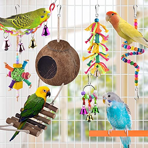 Vogelspielzeug, ERKOON Nymphensittich Futter Wellensittich Spielzeug Bird Feeder Toy for Parakeets Papagei Kauspielzeug,Vögel Am Käfig Installieren Können für Alle Papageien & Vogel (L) von ERKOON