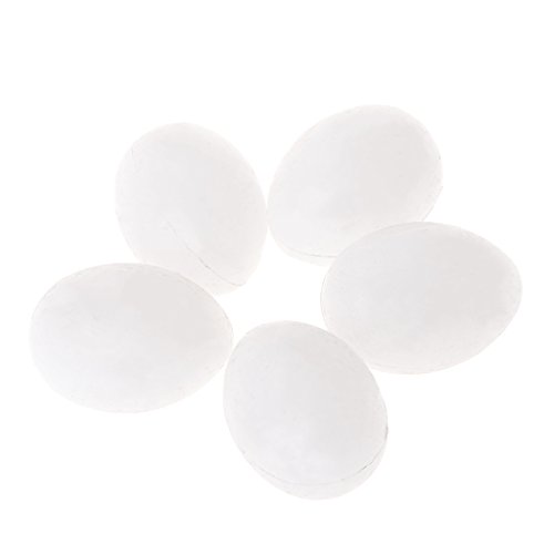 ERYUXWE 5Pcs Künstliche Vogel Eier Solide Papagei Kunststoff Eier Sittich Falsche Brut Eier Für Parrotlet Wellensittich Diamant Für Taube von ERYUXWE