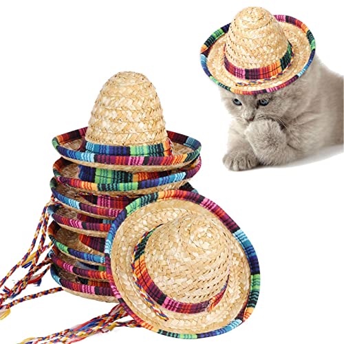 ERZU Mini-Sombrero Mexikanischer Hut | natürlicher Strohhut Mini-Sombrero-Hut 15 cm Strohhut Partydekoration Fiesta Dekorationen Zylinder für Hunde Katzen Partyzubehör von ERZU