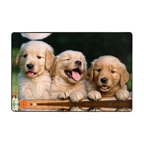 ESASAM Golden Retriever Teppich, für Hunde, Welpen, Haustiere, bedruckt, wasserabsorbierend und langlebig, geeignet für jeden Wohnraum von ESASAM