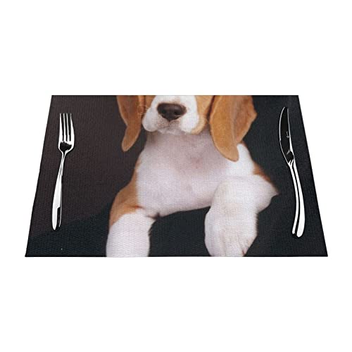 Ovely Pet Dog Beagle PVC-gewebte Tischsets sind modisch, praktisch und beständig gegen hohe Temperaturen und werden von jeder Familie benötigt von ESASAM