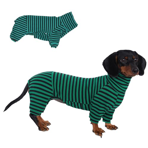 Dackel Hund gestreiften Rollkragenpullover, geeignet für Dackel, Winterkleidung (grün,L) von ESCCBOO