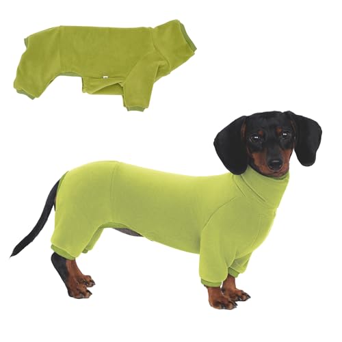 Dackel-Hunde-Rollkragenpullover, geeignet für Dackel, Winterkleidung (Grün, L) von ESCCBOO