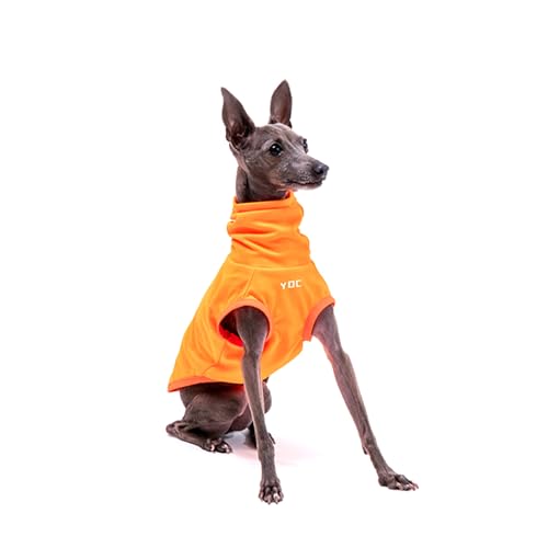 Italienische Windhundkleidung, leichtes und atmungsaktives Sonnenschutz-Tanktop für italienische Windhunde und Whippets, Orange, Größe L von ESCCBOO