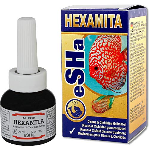 ESHA hexamita Diskus 20ml für 800 Liter Lochkrankheit Schimmelbildung bakterielle Infektionen von ESHA