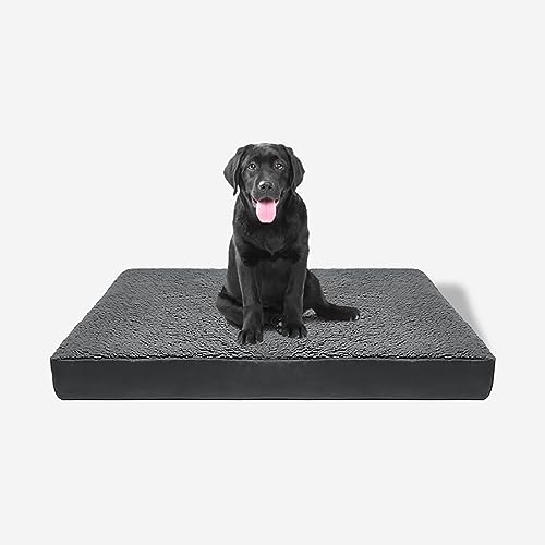 ESSONIO Hundebett Wasserdicht Orthopädische Memory Foam Oxford Tuch Abnehmbarer Bezug Waschbar Rutschfester Boden für Große Mittlere Kleine Hund Mit Rinem Gewicht Von Weniger Als 40 kg（L ） von ESSONIO