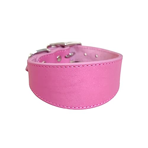 Hundehalsband aus weichem Leder, verstellbar, für Spaziergänge im Freien, Lurcher, Windhunde, Welpenhalsband, Haustierzubehör Hundehalsband aus weichem Leder, verstellbar, für Spaziergänge im Freien, Lurcher, Windhunde, Welpenhalsband, Haustierzubehör von ESTCNK