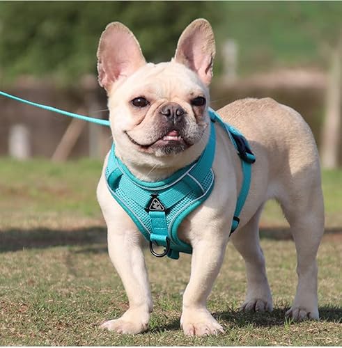 Hundegeschirr, gepolstert, verstellbar, Haustierweste, Geschirr mit Griff, Frontclip, Geschirr für große Hunde, Training oder Spazierengehen, langlebig und kein Ersticken, schwarz von ESTER