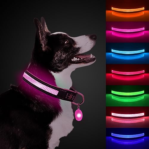 ETACCU LED Hundehalsband Verstellbares Hundehalsband USB Wiederaufladbar Wasserdichtes Leuchthalsband Klassische Hundehalsbänder (L, Rot) von ETACCU