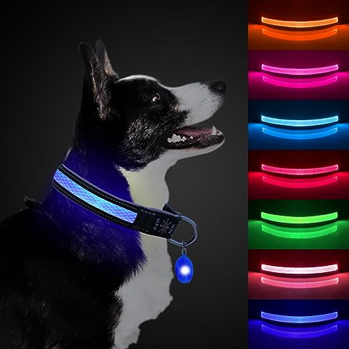 ETACCU LED Hundehalsband Verstellbares Hundehalsband USB Wiederaufladbar Wasserdichtes Leuchthalsband Klassische Hundehalsbänder (M, Blau) von ETACCU