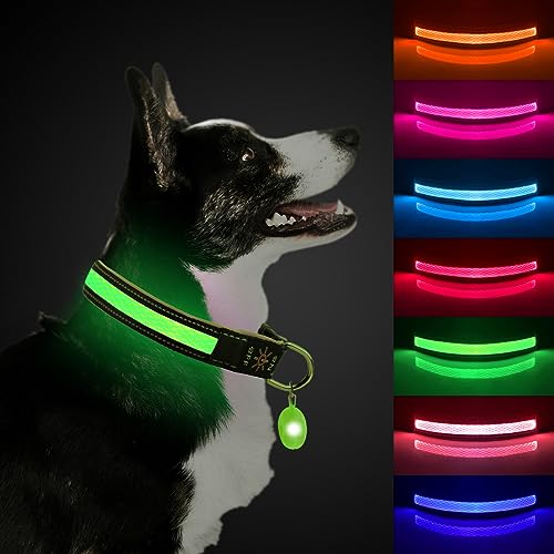 ETACCU LED Hundehalsband Verstellbares Hundehalsband USB Wiederaufladbar Wasserdichtes Leuchthalsband Klassische Hundehalsbänder (S, Grün) von ETACCU