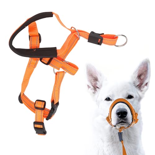 Hundetraining Anti-Pull-Halsband, Hundekopfhalfter mit Sicherheitsgurt, atmungsaktives Nylon-Hundehalsband mit Gurt für Outdoor-Aktivitäten (XL) von ETAINGYEUN