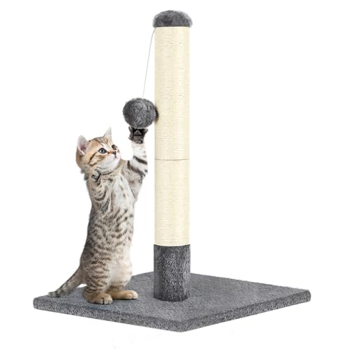 Katzenkratzbaum 24.4 Zoll hoch Katzenkratzbaum mit natürlichem Sisalseil und hängendem Ball Katzenbaum Kratzbaum für Indoor-Katzen, Dunkelgrau von ETELI