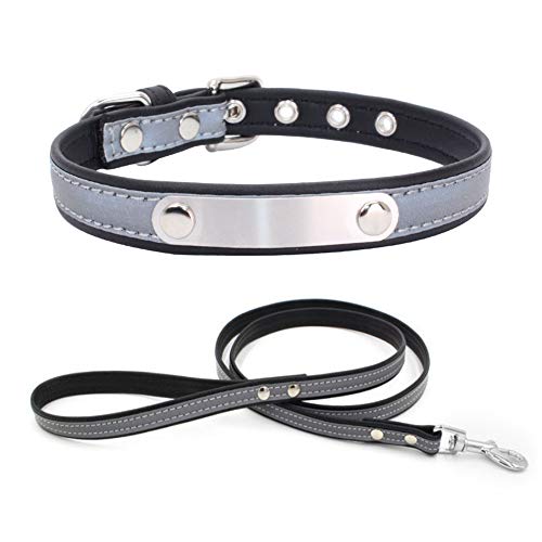 ETOPARS Beschriftung Haustier Hundehalsband Leinen Set, Reflektierendes Hundehalsband, Katzenkragen G¨¹rtel Set, Zweilagige Haustierleine aus weichem Leder, Haustierhalsband Leine von ETOPARS