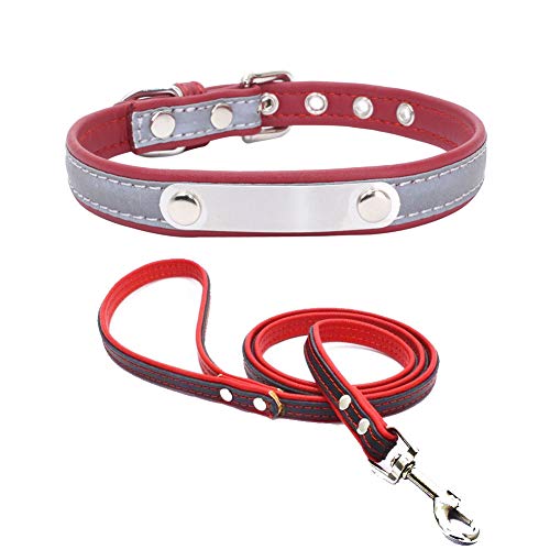 ETOPARS Beschriftung Haustier Hundehalsband Leinen Set, Reflektierendes Hundehalsband, Katzenkragen G¨¹rtel Set, Zweilagige Haustierleine aus weichem Leder, Haustierhalsband Leine von ETOPARS