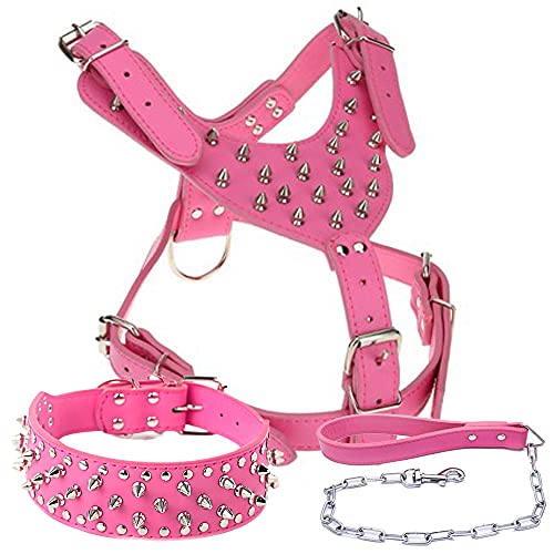 Etopar Hundegeschirr, Halsband und Leine, Leder, mit Nieten, 3-teiliges Set, Leine für mittelgroße große Hunde, besonders Pitbull, Bulldogge, Labrador, Golden Retriever (L, Rose) von ETOPARS