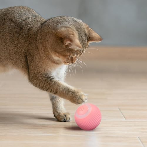 4.3cm Katzenspielzeug Elektrisch Mit LED Licht, Silikon Interaktives Katzenspielzeug Ball, Wiederaufladbarer Elektrisch Katzenspielzeug Ball Mit Type-C, 360° Selbstdrehender Katzenspielzeug Ball von ETUCYNG