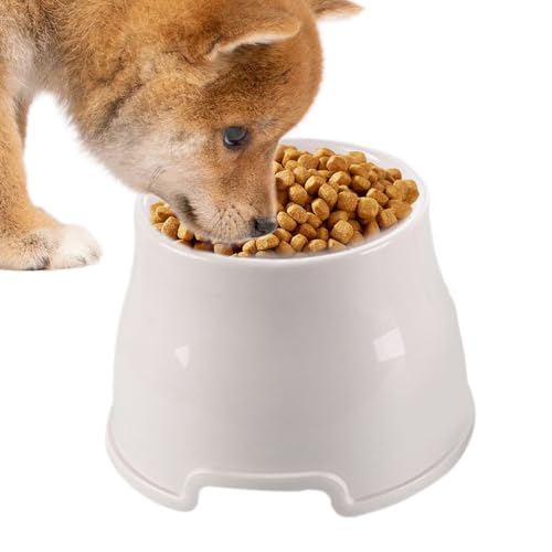 ETUCYNG Hundewasserschale, erhöhte Hundebereich,Erhöhte Katzenschale | Kratzfestes Haustier-Fütterungsgericht für große mittelgroße kleine Hunde Welpen Kätzchen im Freien Reisen ETUCYNG Hundewasserschale, erhöhte Hundebereich,Erhöhte Katzenschale | Kratzfestes Haustier-Fütterungsgericht für große mittelgroße kleine Hunde Welpen Kätzchen im Freien Reisen von ETUCYNG