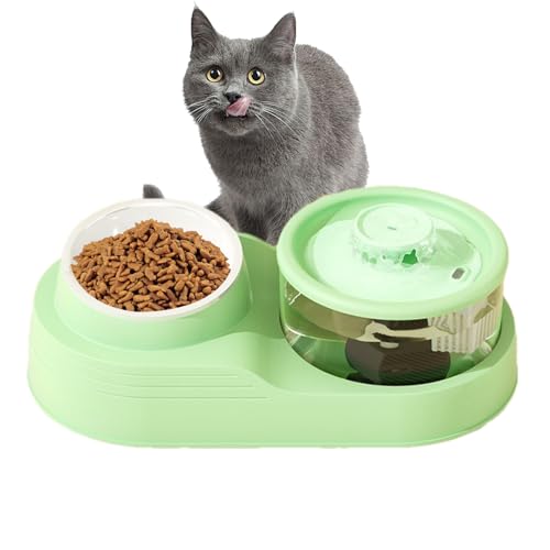 ETUCYNG Katzenfutter- und Wasserspender, automatischer Katzenfuttermittel,Katzenfutterstation | Abnehmbares Design, Rutschbasis, Fütterungs- und Bewässerungsversorgungen für heiße ETUCYNG Katzenfutter- und Wasserspender, automatischer Katzenfuttermittel,Katzenfutterstation | Abnehmbares Design, Rutschbasis, Fütterungs- und Bewässerungsversorgungen für heiße von ETUCYNG