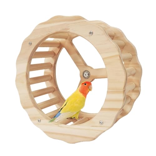 ETUCYNG Vogelrad-Spielzeug, Vogel-Übungsrad - Laufendes Spinnerrad-Spielzeug für Papageien - Vogelspielzeug aus, Käfigzubehör für Sittiche, Papageien, Nymphensittiche und Wellensittiche von ETUCYNG