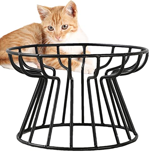 Katzennapf - Whisker Friendly erhöhter Katzennapf aus Keramik,Katzennapf mit Metallständer, erhöhter Kätzchennapf, Tierfutter und Wasser-Futterstation für kleine Hunde im Innenbereich von EUBEISAQI