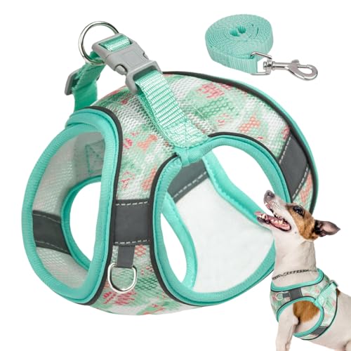 Geschirr- und Leine-Set - Atmungsaktives und reflektierendes Hundewestengeschirr mit Griff | Bequeme, verstellbare Hundegeschirre für einfache Kontrolle, Heimtierbedarf für kleine und von EUBEISAQI