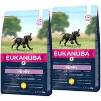 EUKANUBA Puppy Large Breed 2x3 kg von EUKANUBA