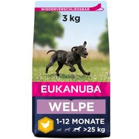 EUKANUBA Puppy Large Breed 2x3 kg von EUKANUBA