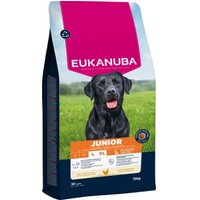 EUKANUBA Trockenfutter Hund, Junior, groß, EUKANUBA Trockenfutter Hund, Junior, groß, von EUKANUBA