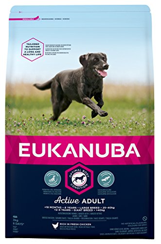 Eukanuba Premium Hundefutter für Hunde großer Rassen, Trockenfutter mit Huhn (1 x 3 kg) von EUKANUBA