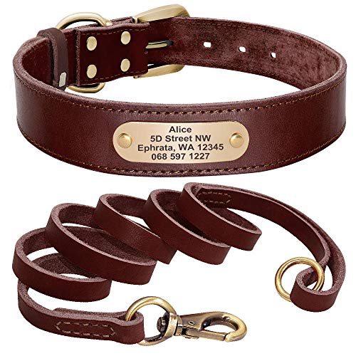 EUSFIYY Custom Leder Hundehalsband Leine Set Personalisierte Haustier Halsband Leine Graviertes Typenschild für mittelgroße Hunde-Brown_Set_L von EUSFIYY