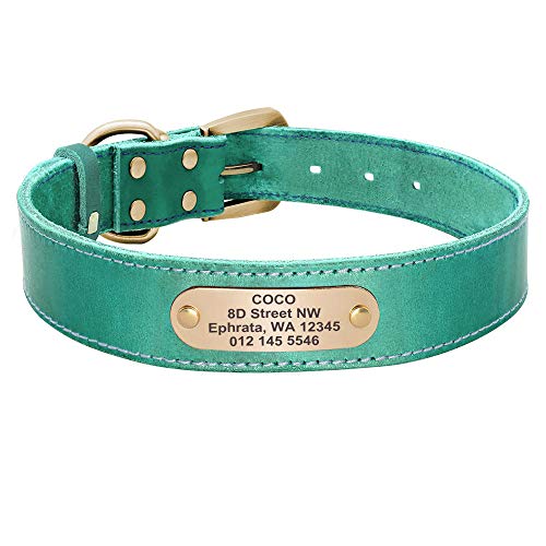 EUSFIYY Custom Leder Hundehalsband Leine Set Personalisierte Haustier Halsband Leine Graviertes Typenschild für mittelgroße Hunde-Green_Collar_XL von EUSFIYY