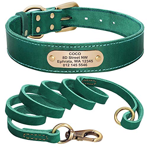 EUSFIYY Custom Leder Hundehalsband Leine Set Personalisierte Haustier Halsband Leine Graviertes Typenschild für mittelgroße Hunde-Green_Set_L von EUSFIYY